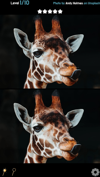 Find 5 Differences - Animals - 1.0 - (Android)