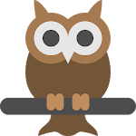 Cover Image of 下载 Owl Archetype  APK