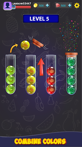 Color Puzzle Ball Sort Games Screen 2