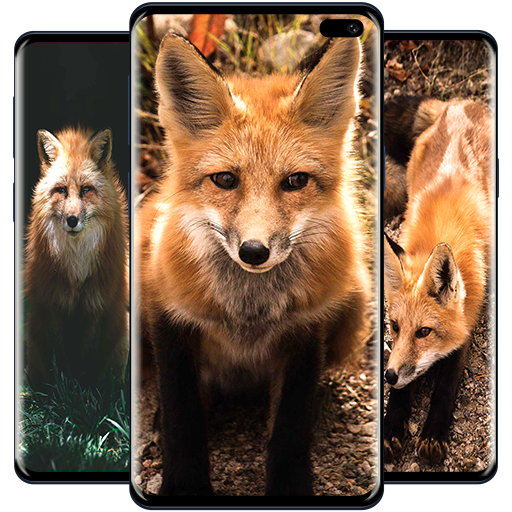 Download Fox Wallpaper 4 0 1001 Apk For Android Apkdl In