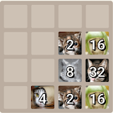2048 Cat Puzzle Brain Games icon