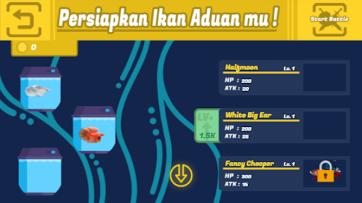 Adu Ikan Cupang Screen 3
