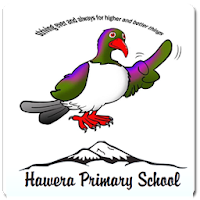 Hawera Primary School