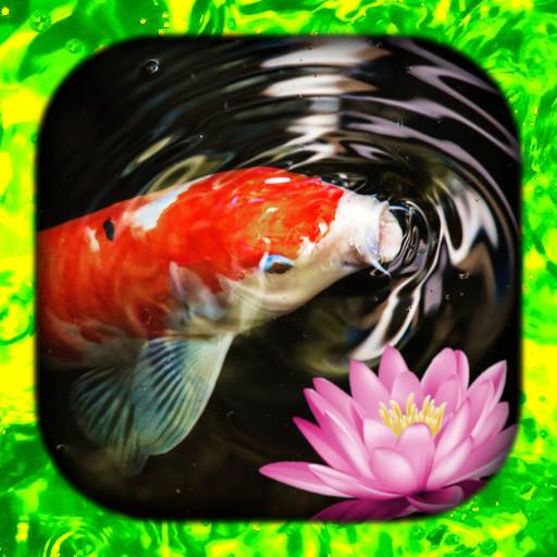 Koi Fish Wallpaper Live HD/3D 2.5.9 Icon
