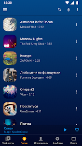 Музыкальный плеер Music Player