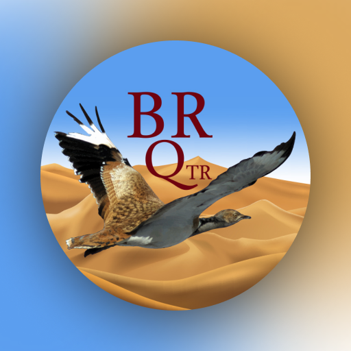 Br Qtr logo