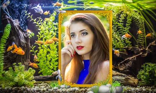 Android application Aquarium Photo Frames screenshort