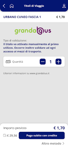 GrandaBus Screen 3