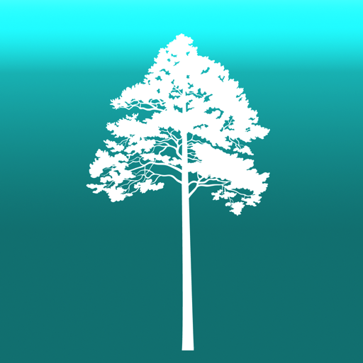 Download Arboreal – Height of Tree for PC Windows 7, 8, 10, 11