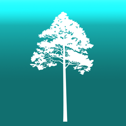 Arboreal - Height of Tree  Icon