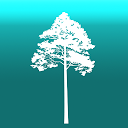 Arboreal - Height of Tree