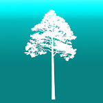 Cover Image of Скачать Arboreal - Height of Tree  APK