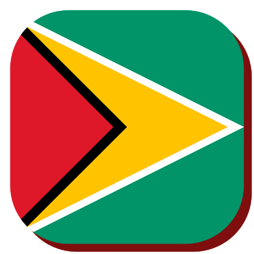 Radio Guyana Live Music & News logo