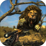 hunting animals in 3dforest icon