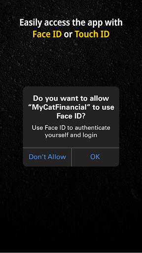 MyCatFinancial 11