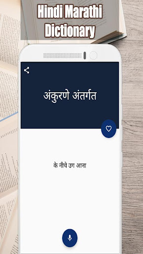 Hindi Marathi Dictionary Screen 2