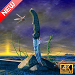 Cover Image of ダウンロード Knife Wallpaper HD 2020  APK