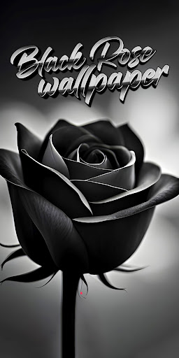 black rose wallpaper Screenshot 1 - AppWisp.com