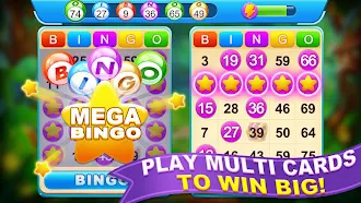 Game screenshot Bingo League - Offline Bingo apk download