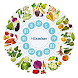 Vitamins in Fruit & Vegetables - Androidアプリ