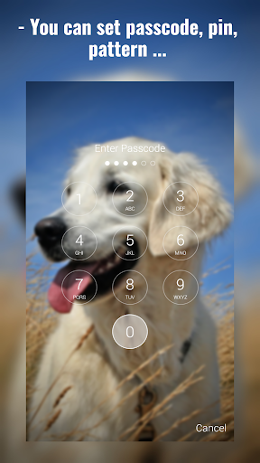 Labrador Lock Screen Screen 2
