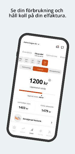 Luleå Energi Screen 2