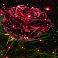 Magical Rose Live Wallpaper