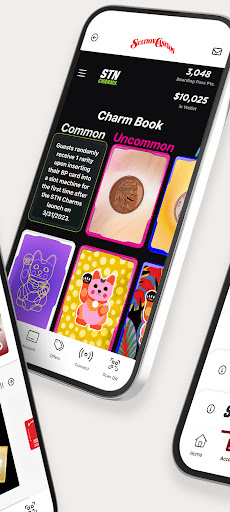 STN MOBILE Screen 2