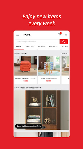 Regal Furniture Screen 3