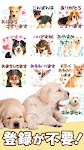 screenshot of Dog Stickers