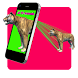 AR 3D Animals - Androidアプリ