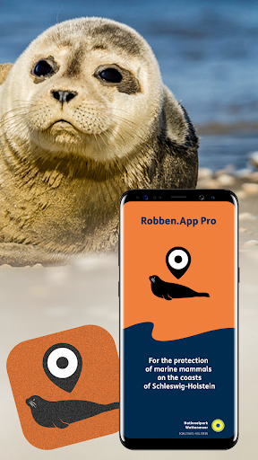 Robben.App Pro Screen 3
