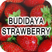 Top 10 Books & Reference Apps Like Budidaya Strawberry - Best Alternatives