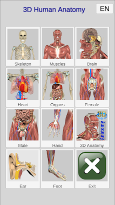 3D Bones and Organs (Anatomy)のおすすめ画像1