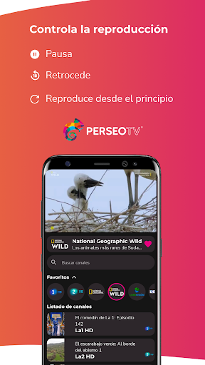 Perseo TV Screen 3