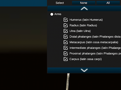 Osseous System in 3D (Anatomy) screenshots 11