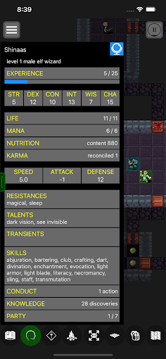 Pathos: Nethack Codex - Screenshot 4