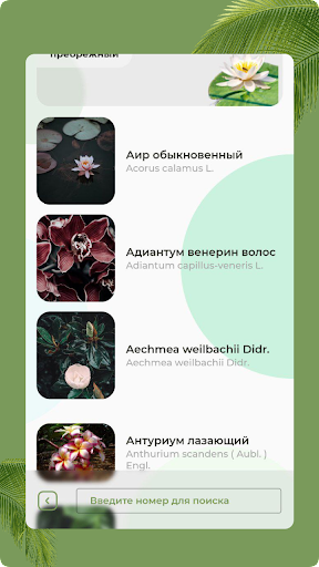 Оранжерея ГБС г. Алматы Screen 2