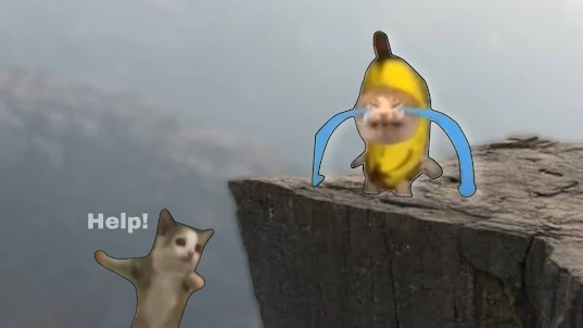 Cat Meme - Banana Series