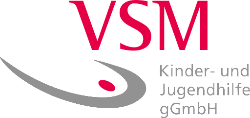 VSM-Inthepro Screen 2