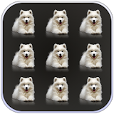 Pets Dogs Pattern Lock Screen icon
