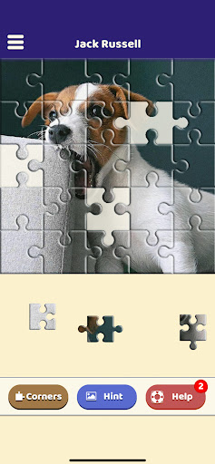 Jack Russell Puzzle Screen 3