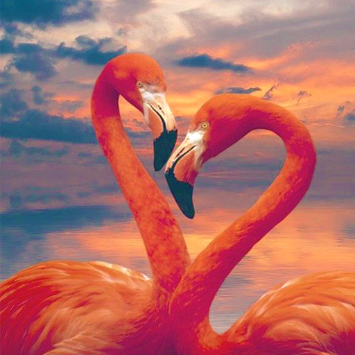 Cute Flamingo Wallpaper Windows'ta İndir
