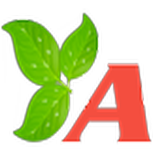AAdis Healers logo