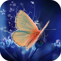 Icon image Butterfly Video Live Wallpaper