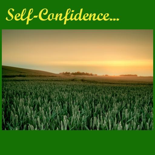 Self Confidence and Healing 1.04 Icon