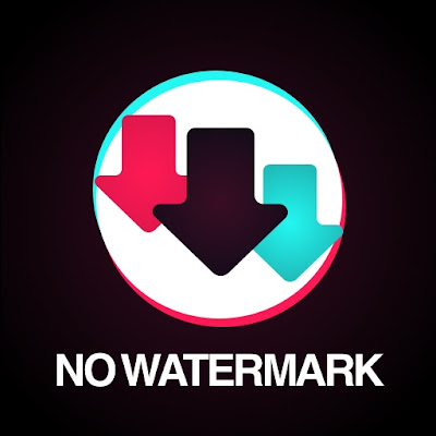 Snaptik Capcut: Aplikasi Terbaru untuk Mengunduh Video TikTok Tanpa Watermark