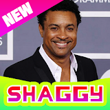 Shaggy All Songs Offline icon