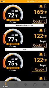BT-30 Stake Bluetooth Truly Wireless Intelligent Food Thermometer
