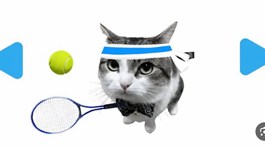 Meme Cat Tennis